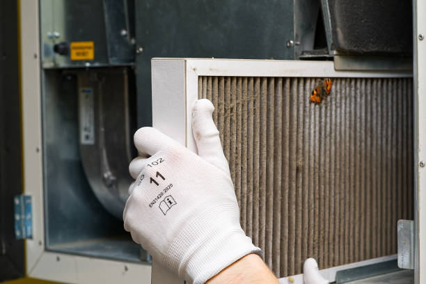 Best Affordable Duct Cleaning Services  in Lahaina, HI