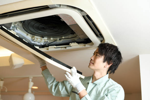 Best Emergency Air Duct Cleaning  in Lahaina, HI