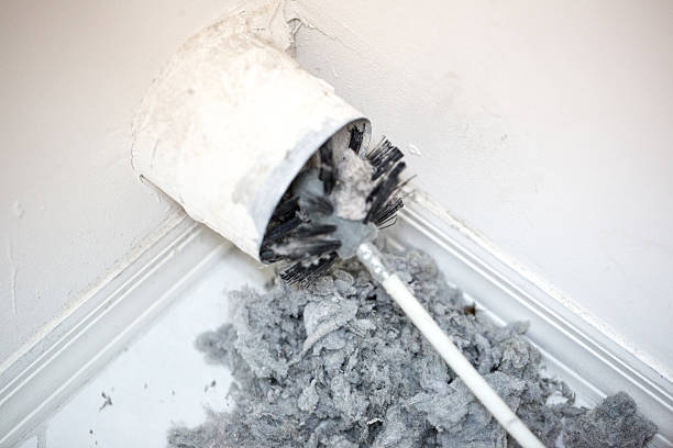 Best Professional Duct Cleaning Services  in Lahaina, HI