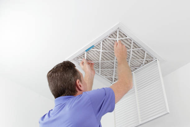 Best Dryer Vent Cleaning Services  in Lahaina, HI